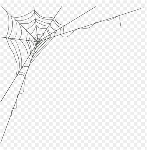 Corner Spider Web Design