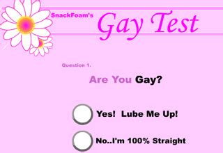 Are You Gay Test Swf Nasadmaui