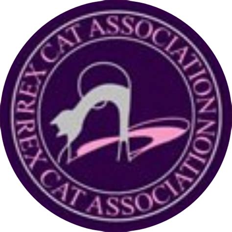 Cornish Rex Rex Cat Association