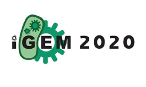 An iGEM of a project - City of London School for Girls