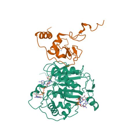 RCSB PDB 7KOA Room Temperature Structure Of SARS CoV 2 Nsp10 16