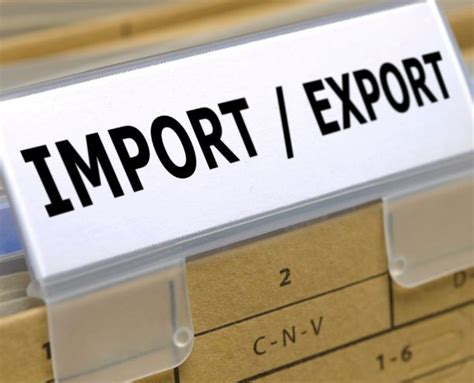 import export code regirtration services  gurgaon tripathi arora