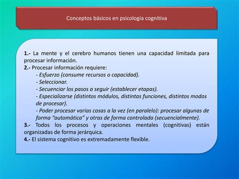 Conceptos B Sicos En Psicolog A Cognitiva Ppt