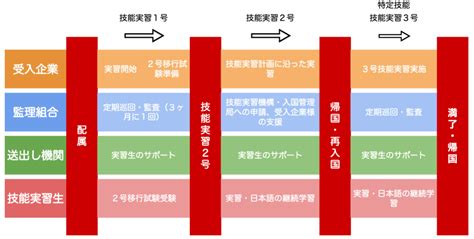 実習生受入れの流れ 愛知技術革新協同組合