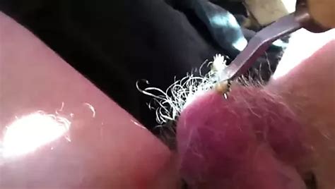 Pinwheel Porn Videos Gay XXX 2024 XHamster