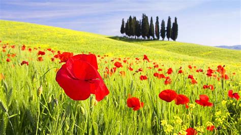 Spring Italy Wallpapers - Wallpaper Cave