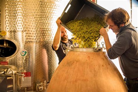 Domaine des marronniers - Vignerons Indépendants de l'Yonne