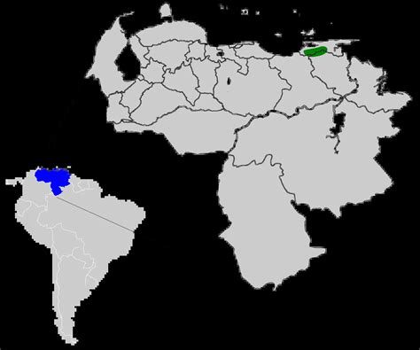 Venezuelan sylph - Facts, Diet, Habitat & Pictures on Animalia.bio