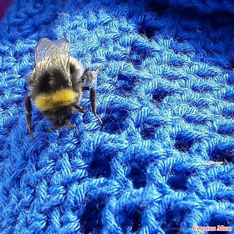 . Топ в технике колор-блок - Вязание - Страна Мам