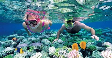 Best Snorkeling Spots In Zanzibar Zanzibar Island Safaris Tours