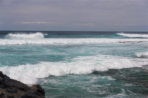 Rottnest Island Stock Photos Images And Backgrounds For Free Download