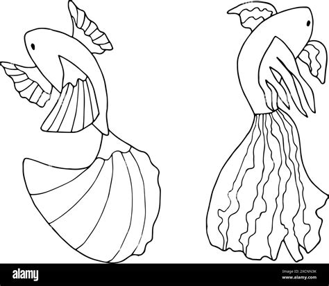 Linear illustration of betta fish. Outline drawing of exotic aquatic