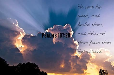 1 John 419 Words That Renew The Soul