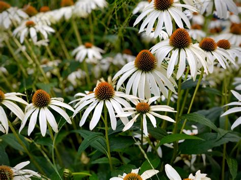 Community Grief – Grief Stories