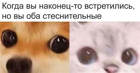 Полторашка раскрепощения | Пикабу