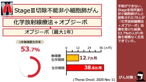 日本がん対策図鑑 【Ⅲ期肺がん：化学放射線療法】「化学放射線療法＋オプジーボ」