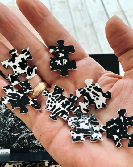 Nude Male Adult NOVELTY JIGSAW PUZZLE Queer Art Naked Man In Water Jigsaw