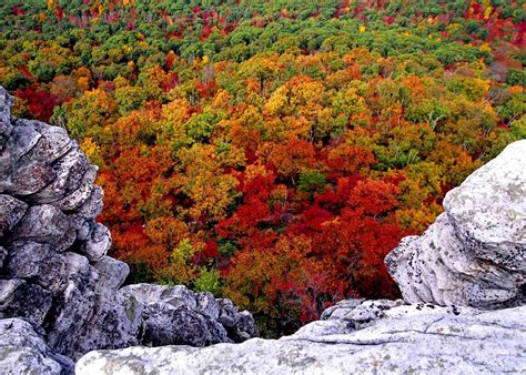 west virginia wallpaper 2