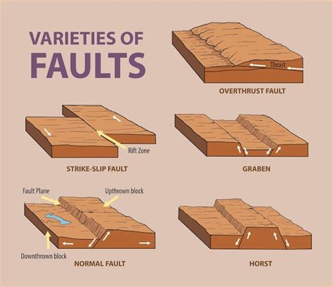 Premium Vector Faults Varieties