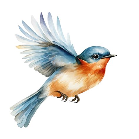 Watercolor Bird Clip Art, Watercolor, Bird, Animal PNG Transparent ...