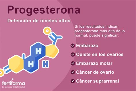 Como Aumentar A Progesterona - Qué es la Progesterona. Guía Completa