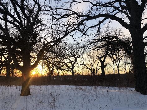 Lake Wingra | Oak Savanna | Madison, Wisconsin