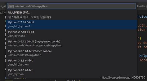 Pytorchtorch命令行可以运行，但是编译器不行，modulenotfounderror No Module Named