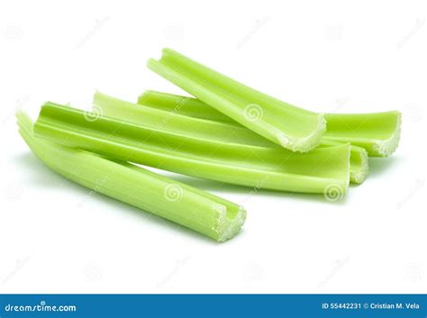 Green Rhubarb Stock Image Image Of Green Nutrition 55442231