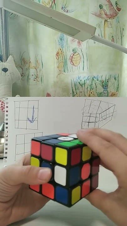 Кубик Рубика#rubikscube #эублефар#змея - YouTube