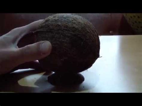 Кокос в аквариум. Для чего, для кого. Как подготовить! - YouTube