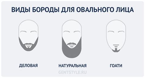 Все формы и виды бороды - гайд 2021 - Борода и Усы