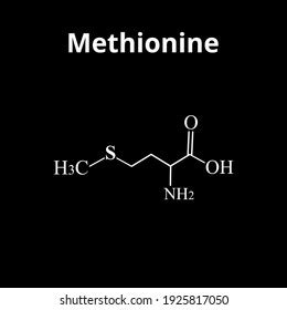 Methionine Amino Acid Chemical Molecular Formula Stock Vector Royalty