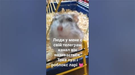 я туди знімаю - YouTube