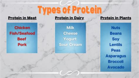 Types of Protein: Why is Protein Important? - One Life Food