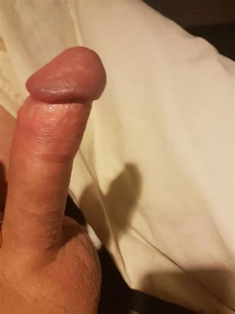 Skorpion K Mein Harter Schwanz Nude Pics XHamster