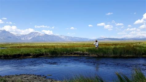 Celebrate Fathers Day In Mono County