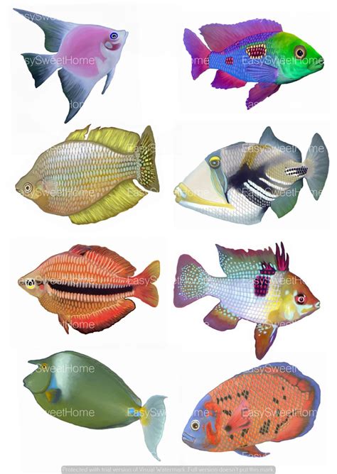 Tropical Fish Decals Wall Decals Fish Home Décor Bathroom - Etsy