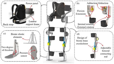 Powered Exoskeleton Design