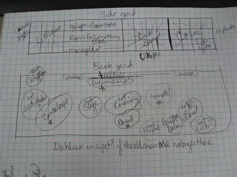 Crop Rotation Basics Gardenerd