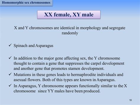 Sex Determination Mechanisms In Plants Pptx Reproductive Health Diseases And Conditions