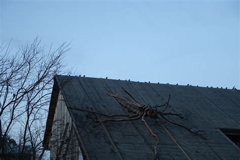 картинки : небо, дерево, ветер, крыша, Мачта, насекомое, Скульптура ...