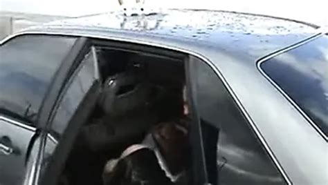 Free Married Sex Porn Videos Xhamster