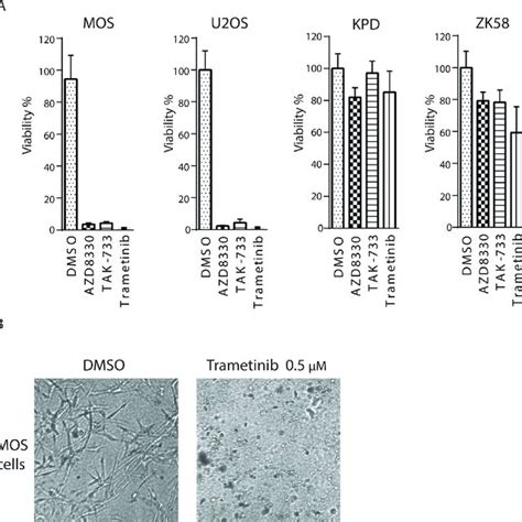 Kinase Inhibitor Screen In Two Human Osteosarcoma Cell Lines A The