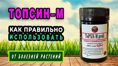 Топсин М — сильное и быстродействующее средство для защиты растений от ...