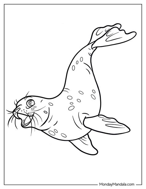 seal coloring pages 5