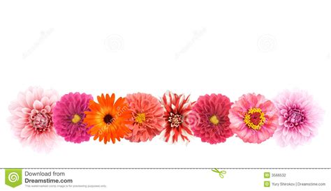 Free Flower Border Line Design Download Free Flower Border Line Design