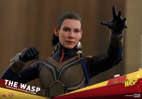 Hot Toys蟻俠2黃蜂女現身黃蜂女 The Wasp 實物樣辦登場 Toys Zone D 玩具兄弟 Figures Price List Reviews