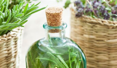 Лучшие травы против вирусов * Новостной портал Xakes