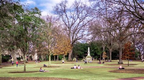 Historic Horseshoe University Of South Carolinas General Campus Tour