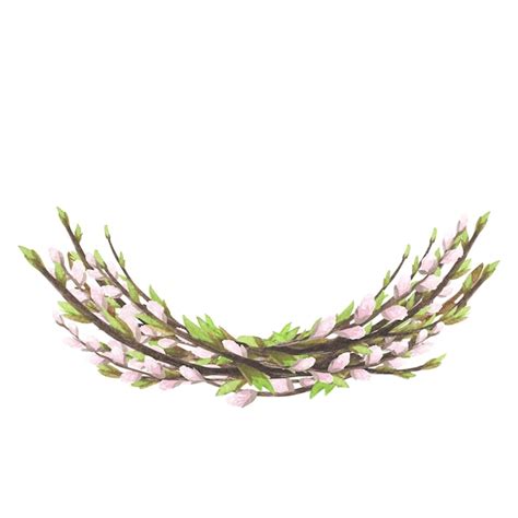 Premium Photo Willow Pussy And Spring Twigs Nest Watercolor Isolated On White Hand Drawing